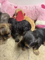 processed/0ca453f8-7bfa-4db9-8407-ced72de8a3a2/listing/faeb65a1-6a37-4d51-a416-063f34cf51c4/a35a4018-406f-4005-8080-e64d9fbe7a7a