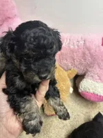 processed/0ca453f8-7bfa-4db9-8407-ced72de8a3a2/listing/faeb65a1-6a37-4d51-a416-063f34cf51c4/f1af7808-1aef-4ebc-a443-4aeca6ab1feb