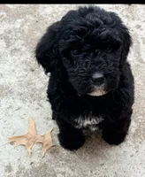 processed/0ca453f8-7bfa-4db9-8407-ced72de8a3a2/listing/ffe04f71-ac74-4d1d-a8eb-f7e6ec78ce5b/67c0d040-c59c-40bf-961e-b9a15b558d9c