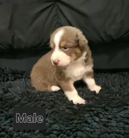 processed/0ca4e700-9956-4693-abef-17456394fbc4/listing/2d7911ed-d350-47c1-bda3-d680ca332814/2ae84647-bd04-4796-9539-2edfd7311222