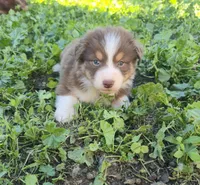 processed/0ca4e700-9956-4693-abef-17456394fbc4/listing/2d7911ed-d350-47c1-bda3-d680ca332814/bf1c077d-12f5-4ef2-a603-53662260f743