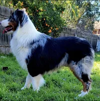 processed/0ca4e700-9956-4693-abef-17456394fbc4/listing/2d7911ed-d350-47c1-bda3-d680ca332814/deb62478-cf7a-487b-a58c-6ba79ef8f8e6