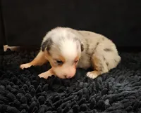 processed/0ca4e700-9956-4693-abef-17456394fbc4/listing/30789f15-3bc4-466a-92b8-8fa4e8d9337f/12ed53cf-3754-4bbc-a1a2-2e55d5b7d163