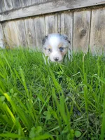 processed/0ca4e700-9956-4693-abef-17456394fbc4/listing/30789f15-3bc4-466a-92b8-8fa4e8d9337f/554b4ea9-951a-4a0a-ab51-460c5f4399dc