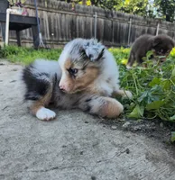 processed/0ca4e700-9956-4693-abef-17456394fbc4/listing/30789f15-3bc4-466a-92b8-8fa4e8d9337f/c59dcb6e-2a2b-4c15-82ff-7a24e602dc9c