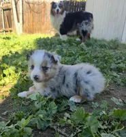 processed/0ca4e700-9956-4693-abef-17456394fbc4/listing/30789f15-3bc4-466a-92b8-8fa4e8d9337f/f15e0216-acac-4132-ba1c-51729b0c8297