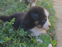 processed/0ca4e700-9956-4693-abef-17456394fbc4/listing/753fd97d-62af-4db6-884a-d08346778076/022e94fb-285e-49a3-9390-f88aa4c3830c