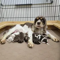 processed/0cac5a83-1cd9-4996-b905-1d5ce8c60a39/facility/1ddebdfa-f0f5-4dec-9189-2e905a556439