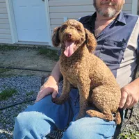 processed/0cac5a83-1cd9-4996-b905-1d5ce8c60a39/facility/af1d9a51-894f-4751-b328-6adc73088dd7