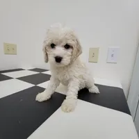 processed/0cac5a83-1cd9-4996-b905-1d5ce8c60a39/facility/b4ed8376-1118-4eb6-b7bb-ef75bbe0ce90