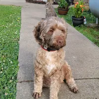 processed/0cac5a83-1cd9-4996-b905-1d5ce8c60a39/facility/ed21d5f3-2d4a-4136-afa3-36174052058c