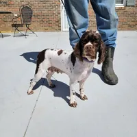 processed/0cac5a83-1cd9-4996-b905-1d5ce8c60a39/facility/f5c9695f-ab11-43e5-902e-ba5df6852493