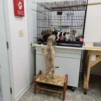 processed/0cac5a83-1cd9-4996-b905-1d5ce8c60a39/facility/f5f67286-b430-4db6-bda3-14a561d3013d