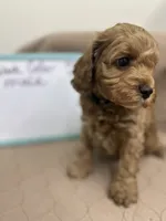 processed/0cac5a83-1cd9-4996-b905-1d5ce8c60a39/listing/dc2b1d32-892e-44d2-8024-7b224ec550b6/1eb917c8-a288-4314-bed9-f4effc380e9a