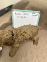 processed/0cac5a83-1cd9-4996-b905-1d5ce8c60a39/listing/dc2b1d32-892e-44d2-8024-7b224ec550b6/34a03067-2c07-4d3d-b592-2e6390f7c988