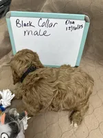 processed/0cac5a83-1cd9-4996-b905-1d5ce8c60a39/listing/dc2b1d32-892e-44d2-8024-7b224ec550b6/4ad46ead-8f8a-40f9-bee1-e71691d06d99