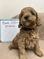 processed/0cac5a83-1cd9-4996-b905-1d5ce8c60a39/listing/dc2b1d32-892e-44d2-8024-7b224ec550b6/5079be82-6f2e-4d89-9860-5f450698d95c