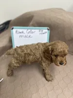 processed/0cac5a83-1cd9-4996-b905-1d5ce8c60a39/listing/dc2b1d32-892e-44d2-8024-7b224ec550b6/5e8b1e07-ea0a-48ad-a92e-e577bab39201