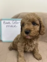 processed/0cac5a83-1cd9-4996-b905-1d5ce8c60a39/listing/dc2b1d32-892e-44d2-8024-7b224ec550b6/dcafa0d1-deef-44d9-869a-4e15d4142f2a