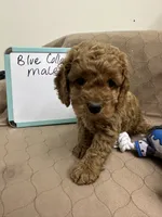 processed/0cac5a83-1cd9-4996-b905-1d5ce8c60a39/listing/e8c6a6f0-79ea-47cb-b95d-1c2cee7a79d3/3d3ef76d-b701-4ca2-abb2-5ae4c5a5abdc