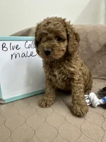 processed/0cac5a83-1cd9-4996-b905-1d5ce8c60a39/listing/e8c6a6f0-79ea-47cb-b95d-1c2cee7a79d3/80b5720e-4232-42e7-885f-13e362ffc711