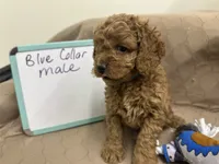 processed/0cac5a83-1cd9-4996-b905-1d5ce8c60a39/listing/e8c6a6f0-79ea-47cb-b95d-1c2cee7a79d3/af50398f-2203-4158-a21d-f5edbaaba43b