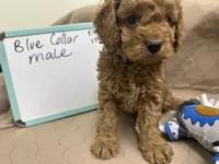 processed/0cac5a83-1cd9-4996-b905-1d5ce8c60a39/listing/e8c6a6f0-79ea-47cb-b95d-1c2cee7a79d3/b24de8c5-a595-453a-b723-253a03d31f54