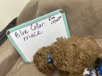 processed/0cac5a83-1cd9-4996-b905-1d5ce8c60a39/listing/e8c6a6f0-79ea-47cb-b95d-1c2cee7a79d3/d111b3e5-b2fc-4893-b7b8-e18e80dbe435