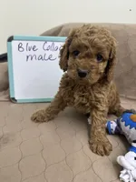 processed/0cac5a83-1cd9-4996-b905-1d5ce8c60a39/listing/e8c6a6f0-79ea-47cb-b95d-1c2cee7a79d3/f124eb93-03da-4449-9ed1-ba08a7ff262d