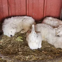 processed/0cb71a59-f7b9-4fe8-86d0-24774c136528/facility/26d5adc5-05c8-4f9f-aee6-c256a60694c8