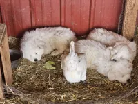 processed/0cb71a59-f7b9-4fe8-86d0-24774c136528/facility/26d5adc5-05c8-4f9f-aee6-c256a60694c8