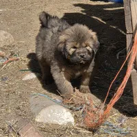 processed/0cb71a59-f7b9-4fe8-86d0-24774c136528/facility/5932c218-ccec-47be-a8e5-eaa2d6a3bbb3