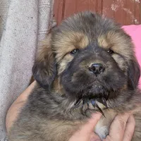 processed/0cb71a59-f7b9-4fe8-86d0-24774c136528/facility/6409ae7e-f74b-4c2a-b0c6-48440ded0436