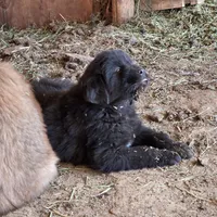 processed/0cb71a59-f7b9-4fe8-86d0-24774c136528/facility/6d99a117-1925-4000-a1bf-cebf6eaf3117