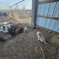 processed/0cb71a59-f7b9-4fe8-86d0-24774c136528/facility/938d210f-a078-4e46-872e-4db357b4a63b