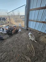 processed/0cb71a59-f7b9-4fe8-86d0-24774c136528/facility/938d210f-a078-4e46-872e-4db357b4a63b