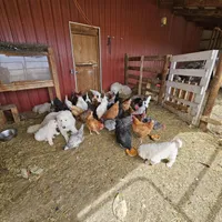 processed/0cb71a59-f7b9-4fe8-86d0-24774c136528/facility/dc5240ea-9e4d-4008-9cc7-e5190ae008de