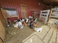 processed/0cb71a59-f7b9-4fe8-86d0-24774c136528/facility/dc5240ea-9e4d-4008-9cc7-e5190ae008de