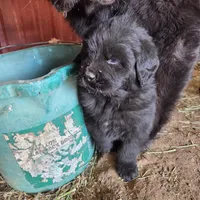 processed/0cb71a59-f7b9-4fe8-86d0-24774c136528/facility/e21b39e5-bb1c-49ff-938a-665b4782cd59