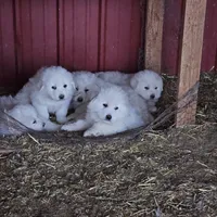 processed/0cb71a59-f7b9-4fe8-86d0-24774c136528/facility/faa1a6ac-693f-40b1-adc7-2dcb64a1359a