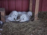 processed/0cb71a59-f7b9-4fe8-86d0-24774c136528/facility/faa1a6ac-693f-40b1-adc7-2dcb64a1359a