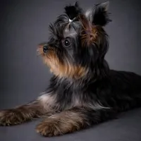 processed/0cb891cc-93c8-40c8-b434-f5565be0c6ec/facility/12784d4a-19c6-4d14-80b4-6d62bce5753c