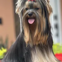 processed/0cb891cc-93c8-40c8-b434-f5565be0c6ec/facility/1cf02808-9de6-4300-9860-a2963a7d967b