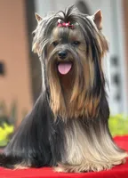 processed/0cb891cc-93c8-40c8-b434-f5565be0c6ec/facility/1cf02808-9de6-4300-9860-a2963a7d967b