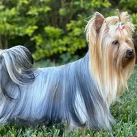 processed/0cb891cc-93c8-40c8-b434-f5565be0c6ec/facility/1fc6840a-a116-4231-80bd-35d0a201d125