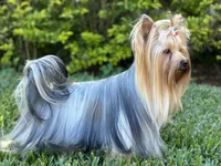 processed/0cb891cc-93c8-40c8-b434-f5565be0c6ec/facility/1fc6840a-a116-4231-80bd-35d0a201d125