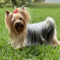 processed/0cb891cc-93c8-40c8-b434-f5565be0c6ec/facility/3d99b2b1-a677-4312-b5eb-a4fb2142ed2b