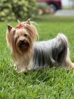 processed/0cb891cc-93c8-40c8-b434-f5565be0c6ec/facility/3d99b2b1-a677-4312-b5eb-a4fb2142ed2b