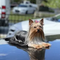 processed/0cb891cc-93c8-40c8-b434-f5565be0c6ec/facility/4329f403-e949-458c-8e7c-ef0b9c9b699f