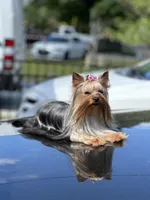 processed/0cb891cc-93c8-40c8-b434-f5565be0c6ec/facility/4329f403-e949-458c-8e7c-ef0b9c9b699f